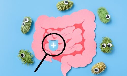 Probiyotik Nedir? Ne İşe Yarar, Faydaları Nelerdir?