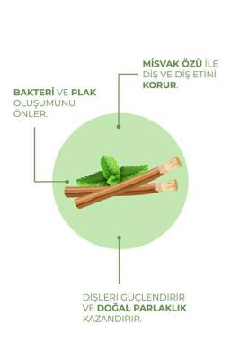 Agarta Doğal Misvak Özlü Diş Macunu 100 ml - 3