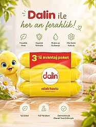 Dalin 3lü Islak Havlu Mendil Klasik 3x56 Adet - 3