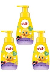 Dalin Orman Meyvesi 200 ml Köpük Sabun X 3 Adet - Dalin