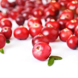 Dinamis Cranberry with Vit-C 20 Saşe - 3