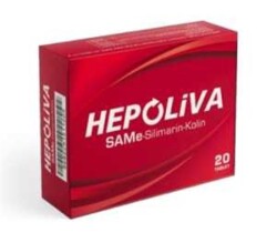 Hepoliva 20 Tablet - Lipozone