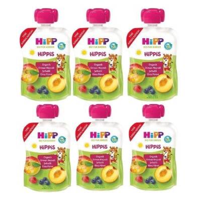 Hipp Organik Orman Meyveli Şeftalili Elma Püresi 100gr X 6adet - 1