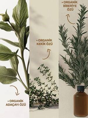 Insight Kepekli Saçlar için Arındırıcı Şampuan 350 ml - 4
