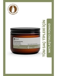 Insight Matlaştırıcı Pomad 90 ml - INSIGHT