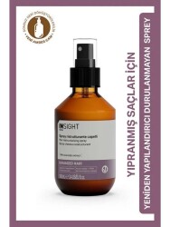 Insight Yeniden Yapılandırıcı Sprey 100 ml - INSIGHT