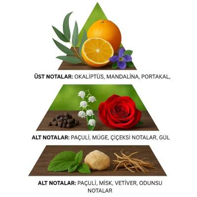 İnsist Bloom Kadın Parfümü 30 ml - 4