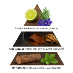 İnsist Valor Erkek Parfümü 30 ml - 4