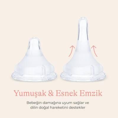 Lansinoh 2 X 330 ml Biberon ve NaturalWave Biberon Emziği (6 Ay+) - 4