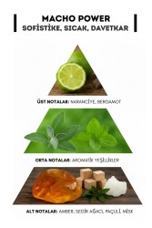 Macho Power Erkek Parfümü Edt 100 ml - 2