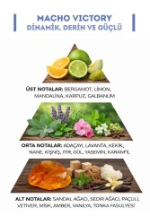 Macho Victory Erkek Parfümü Edt 100 ml - 2
