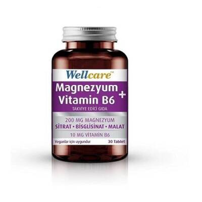Wellcare Magnezyum + Vitamin B6 30 Tablet - 1